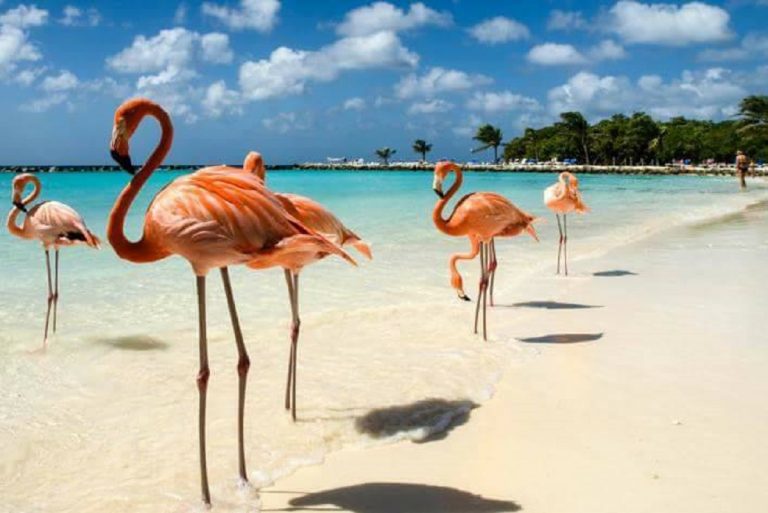 isola della felicità aruba