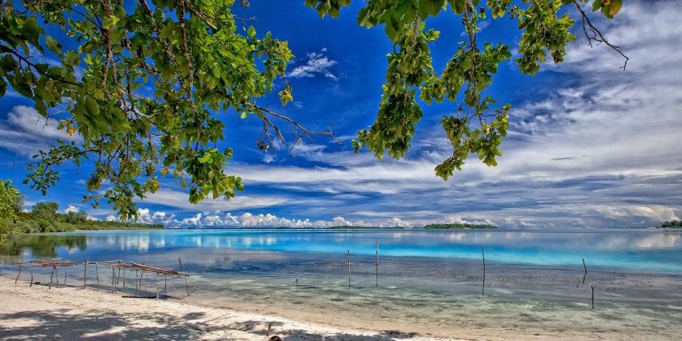 isola kura kura indonesia
