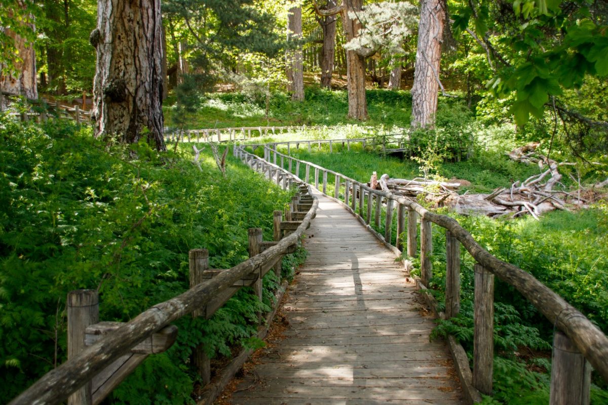 luoghi del fai in calabria