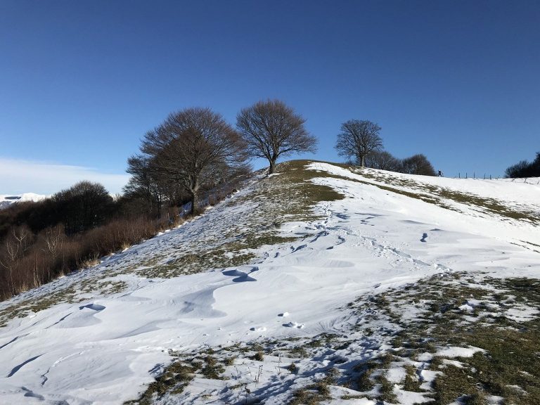 monte bisbino trekking