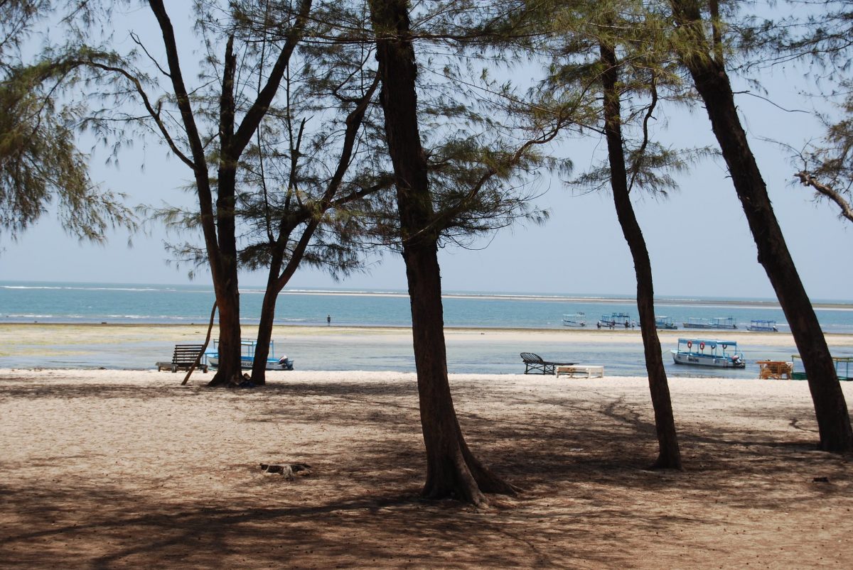 Malindi beach