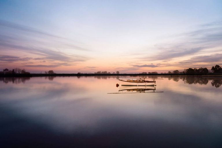 cosa fare al lago di massaciuccoli