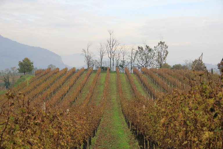 franciacorta in moto itinerari