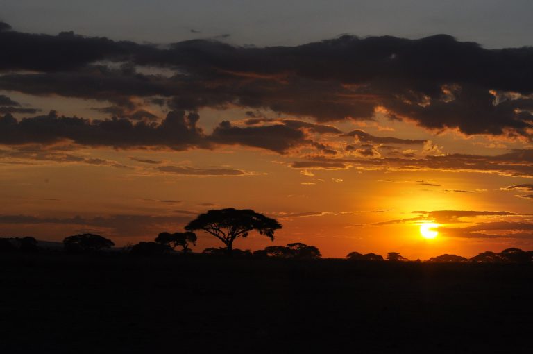 kenya cosa vedere in 7 giorni