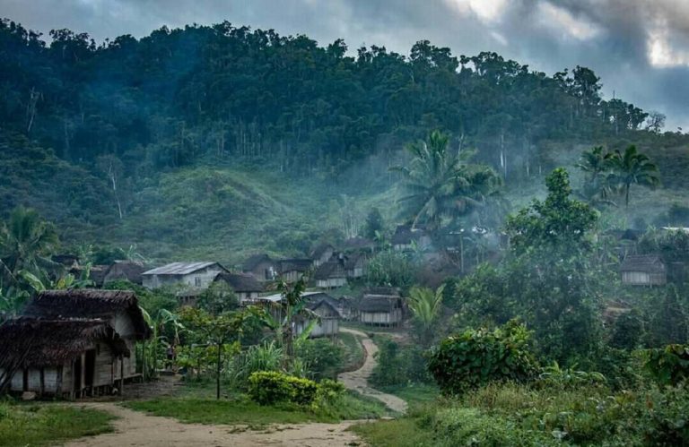 Masoala National Park