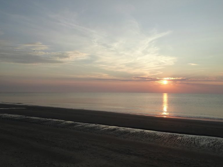 milano marittima spiaggia per cani