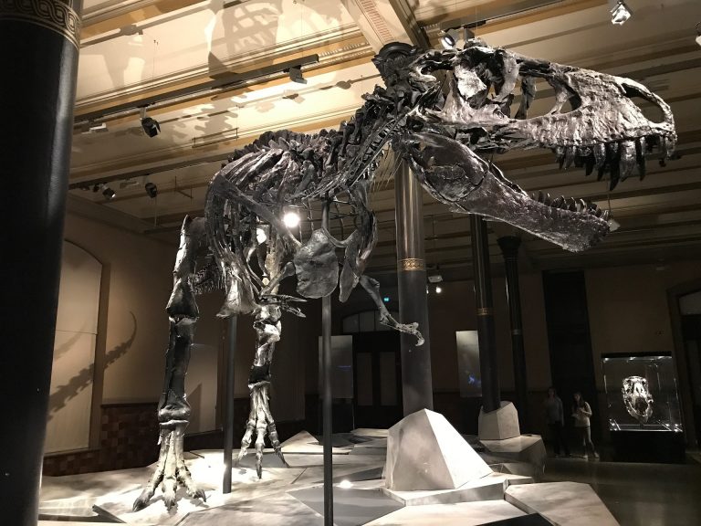 musei dinosauri nel mondo