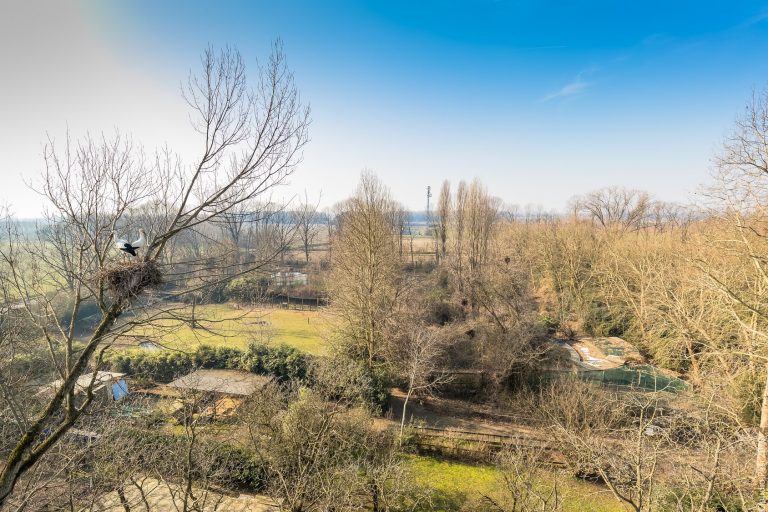 Oasi di Sant'Alessio a Pavia