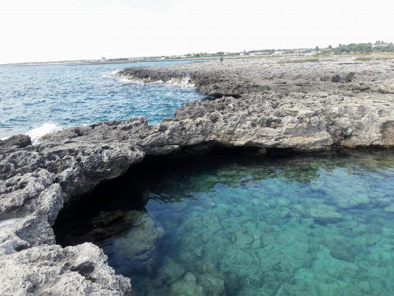 palude del capitano salento