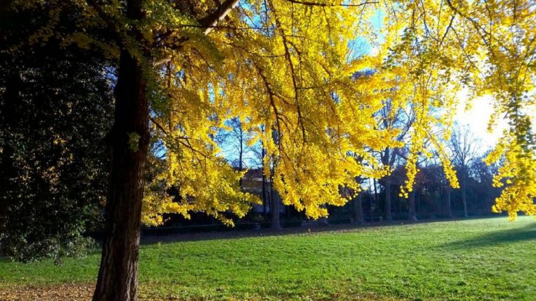 Parco delle Cascine di Firenze