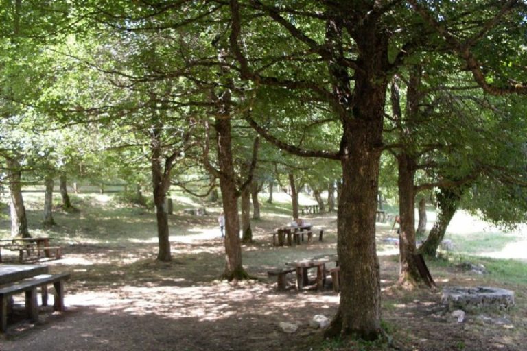 parco di pinocchio molise