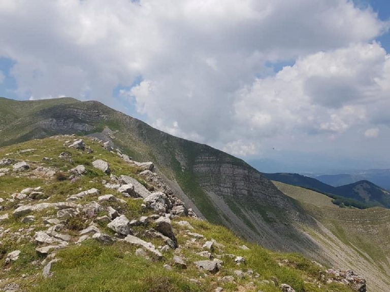 parco nazionale dell'appennino lucano val d'agri lagonegrese
