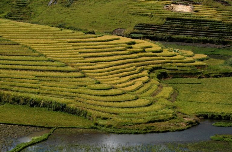 parco nazionale di ranomafana madagascar