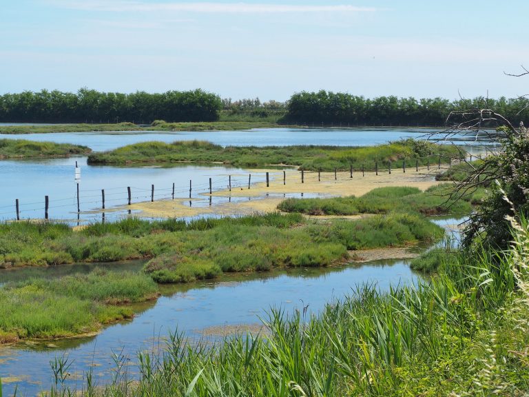 parco regionale veneto del delta del po cosa vedere