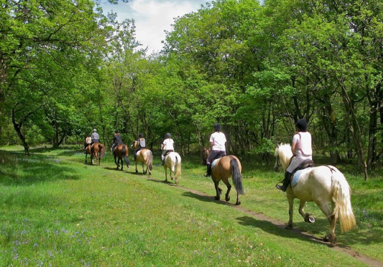 passeggiata a cavallo foresta umbra