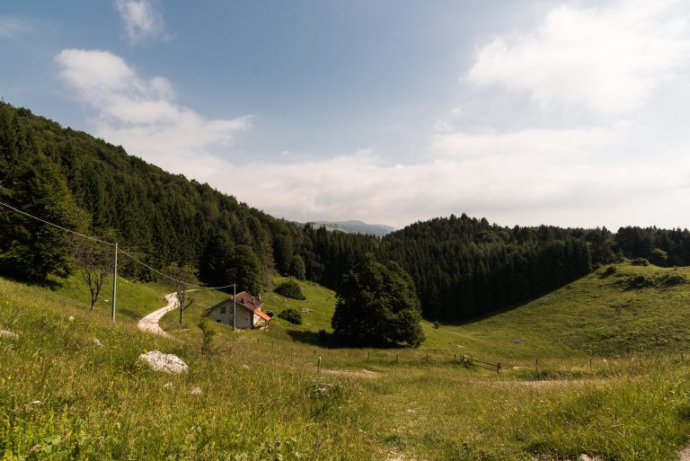 passeggiate per bambini in cansiglio