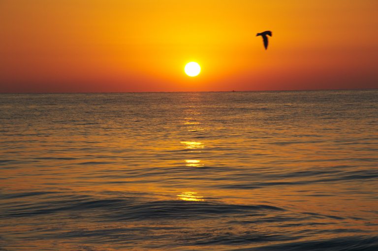 policoro e dintorni cosa vedere