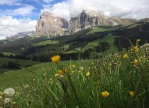 alpe di siusi escursioni facili