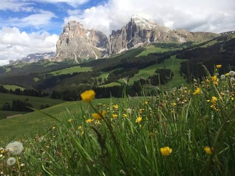 alpe di siusi escursioni facili