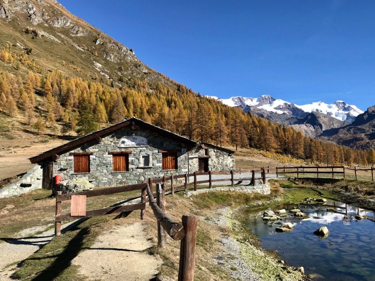 barmasc alpe metzan
