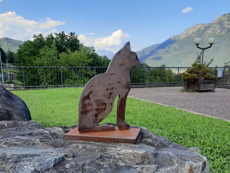 brolo di nonio gatti