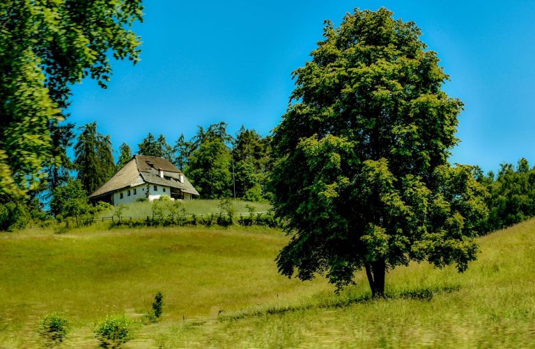 costalovara museo api