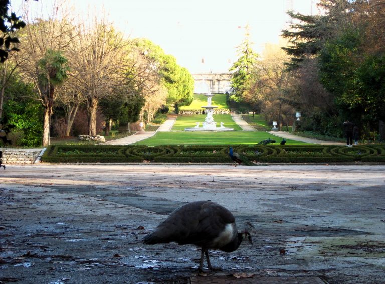 giardino botanico reale madrid