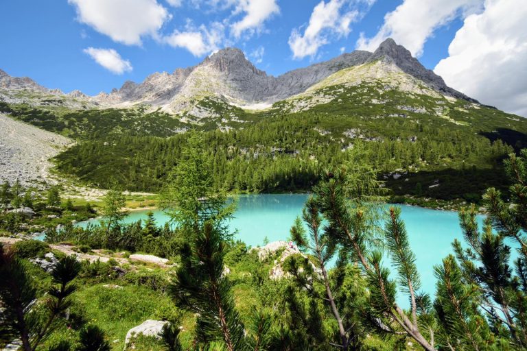 lago sorapis sentiero con cani