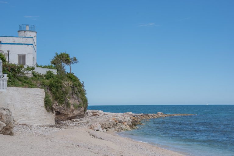 mattinata spiagge per cani