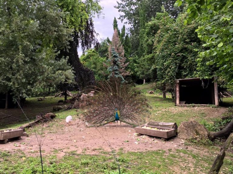 parco natura viva lago di garda