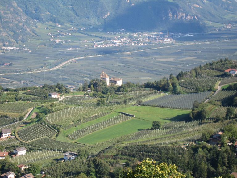 passo palade escursioni