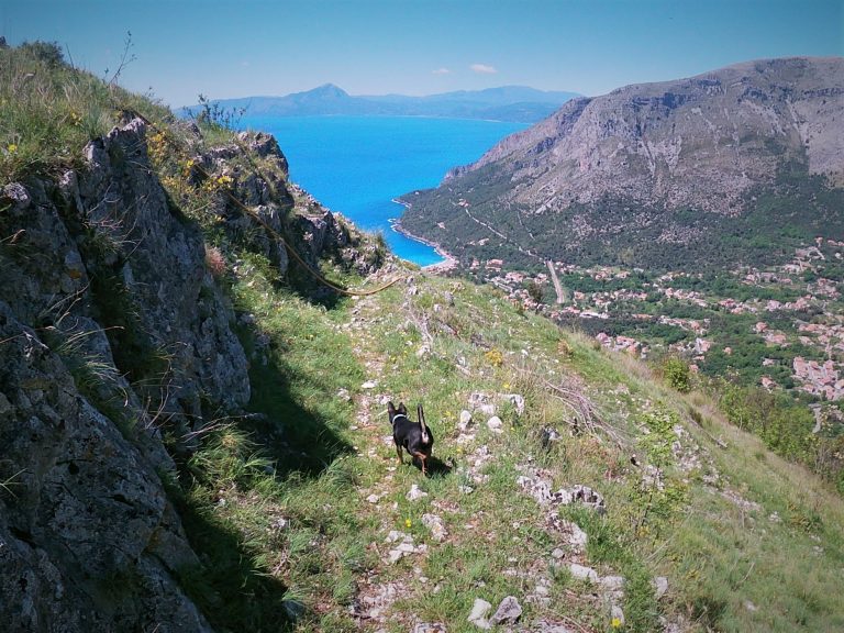 sentiero del mediterraneo maratea