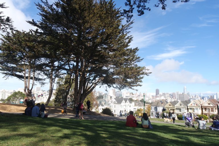 alamo square park san francisco