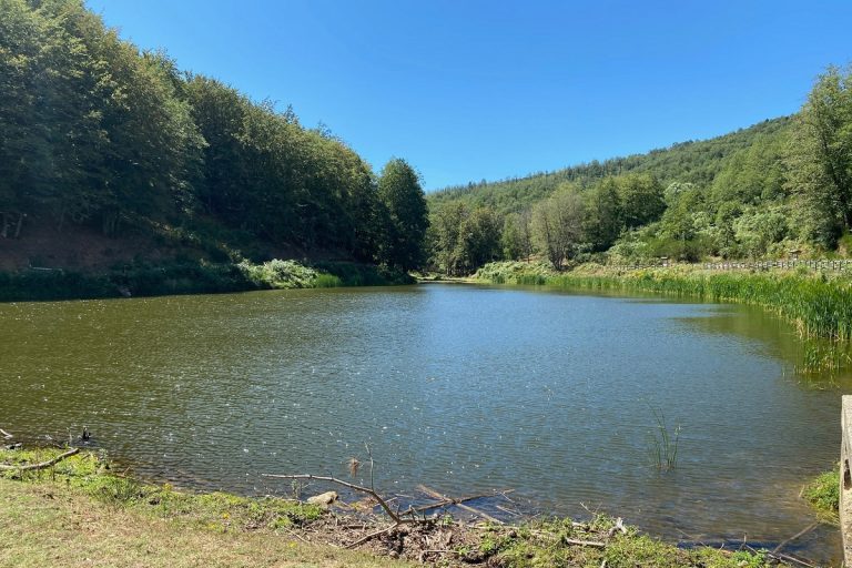 cammino basiliano calabria percorso