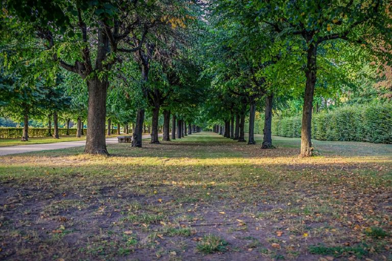 Corridoi ecologici urbani