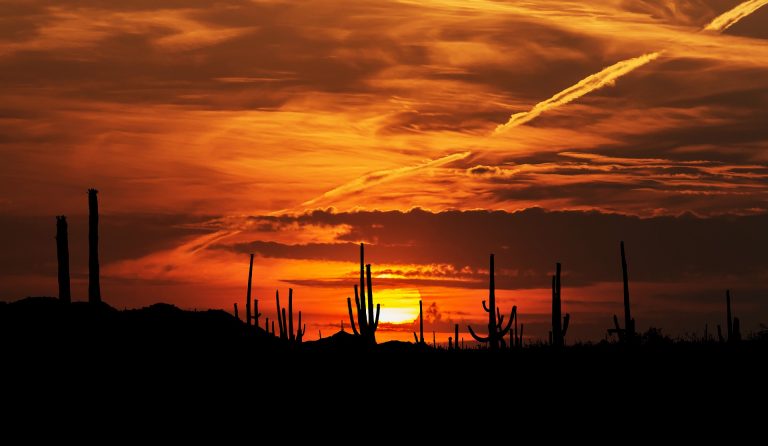 deserto di sonora