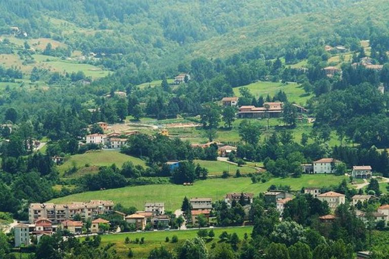 Fiera nazionale fungo porcino di Albareto