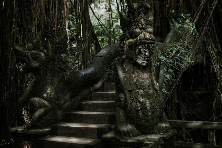 foresta delle scimmie ubud
