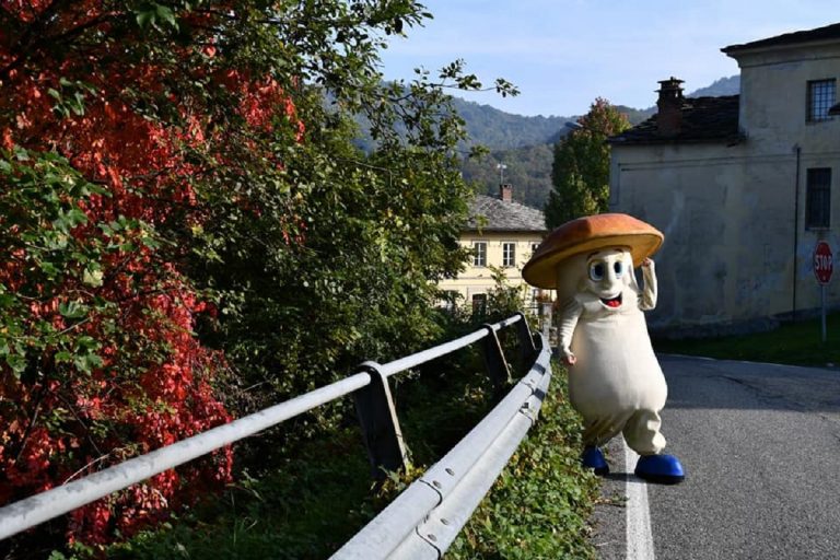 fungo in festa giaveno 2020