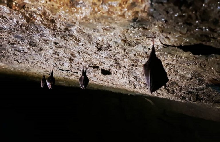 grotte di onferno orari 2020