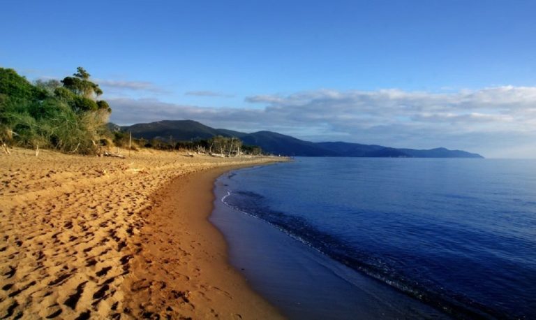 marina di alberese cosa vedere