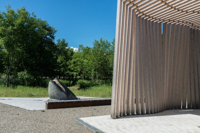 museo mare antico salsomaggiore