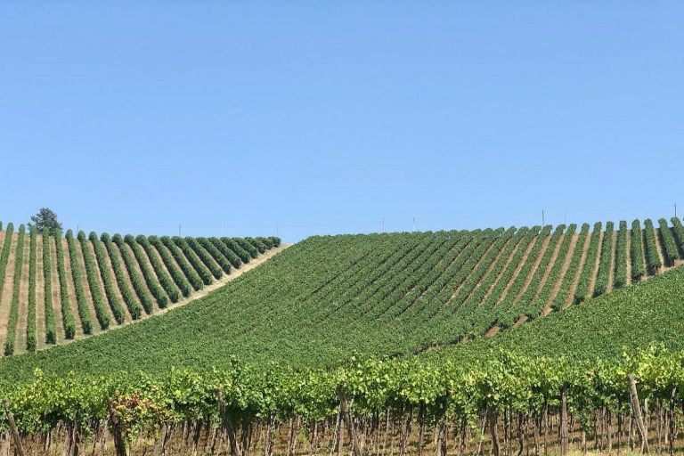 oltrepo pavese cosa vedere