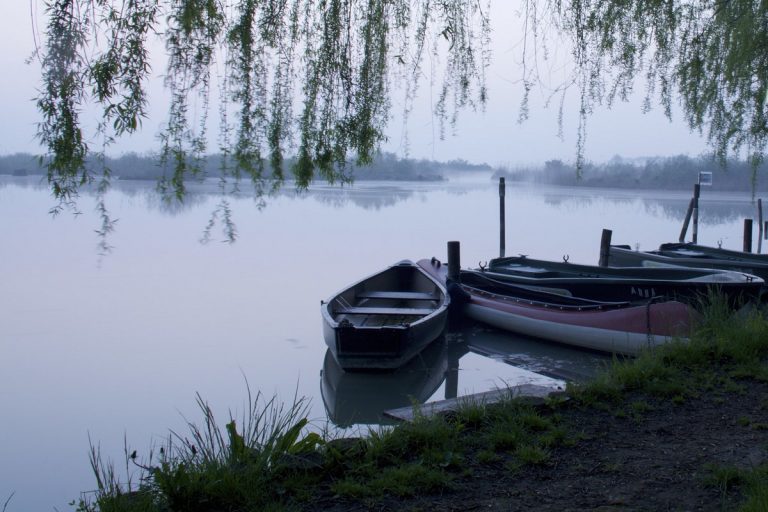 parco del mincio cosa vedere