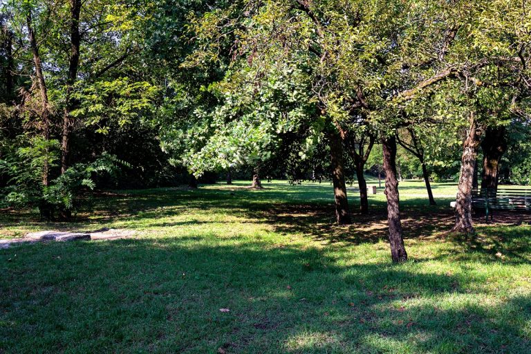 Parco della Galleana storia