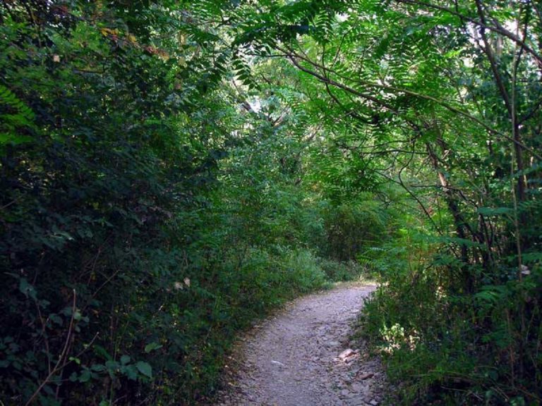 parco dello stirone sentieri
