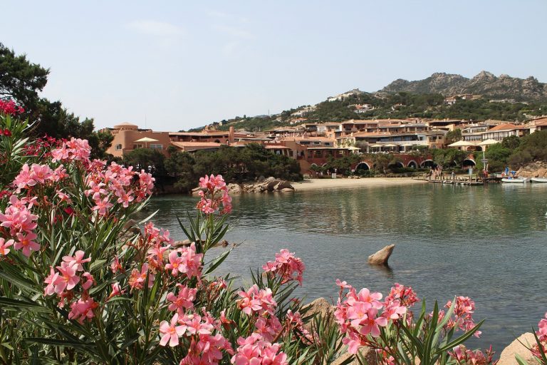 porto cervo spiagge libere