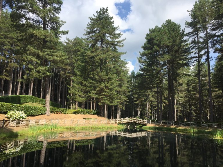 sila calabria cosa vedere