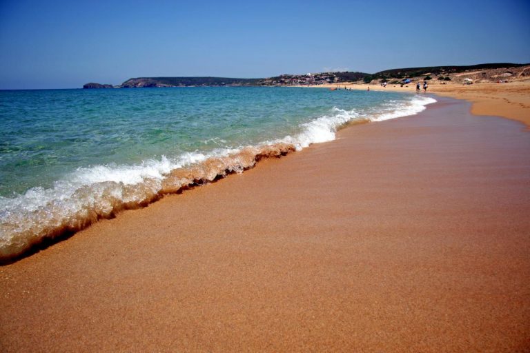spiaggia per cani torre dei corsari