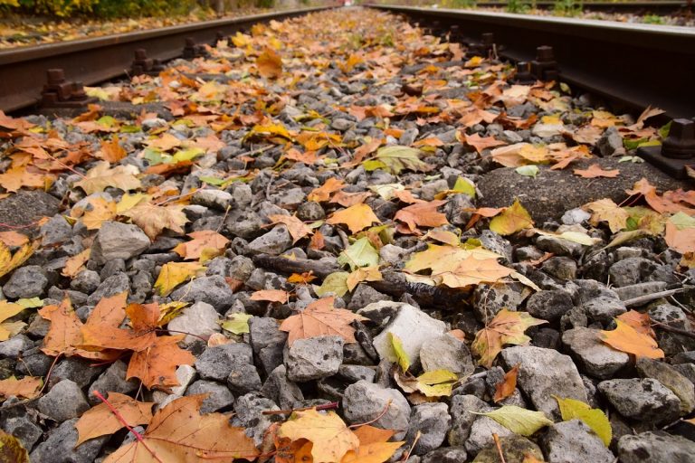 Trenino del foliage 2020